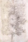 Claude Lorrain A Tree Trunks (mk17) painting
